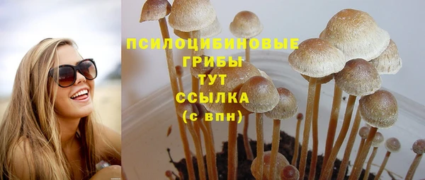 гашиш Пересвет