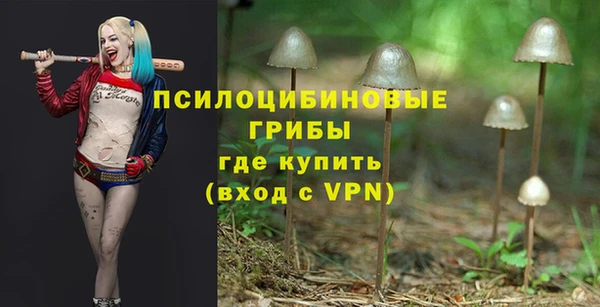 каннабис Пестово