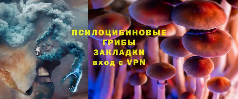 Псилоцибиновые грибы MAGIC MUSHROOMS  блэк спрут зеркало  Полысаево 