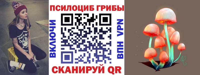Псилоцибиновые грибы GOLDEN TEACHER Полысаево