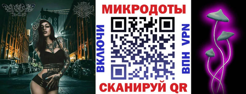 Галлюциногенные грибы Psilocybe  купить наркоту  Полысаево 