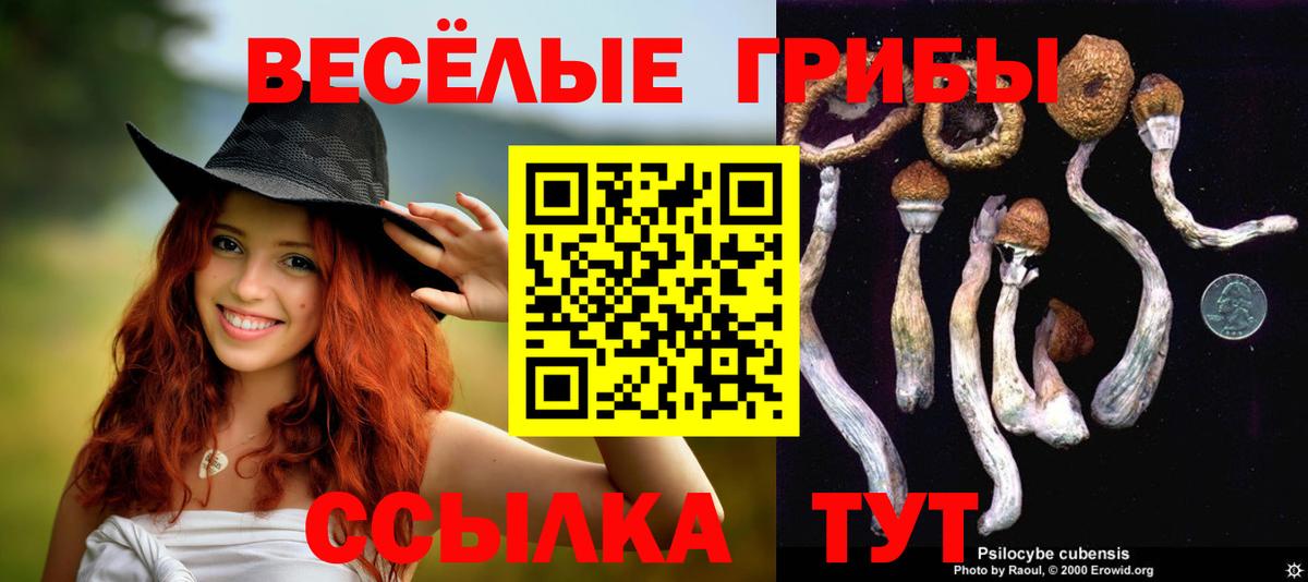 Галлюциногенные грибы прущие грибы  Полысаево  Галлюциногенные грибы прущие грибы 