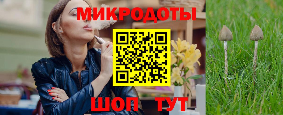 Псилоцибиновые грибы Psilocybine cubensis Полысаево